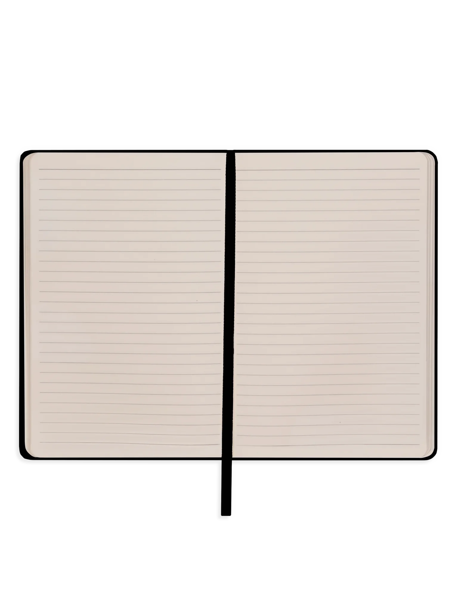 APOCOLYPSE SURVIVAL JOURNAL product image (25)