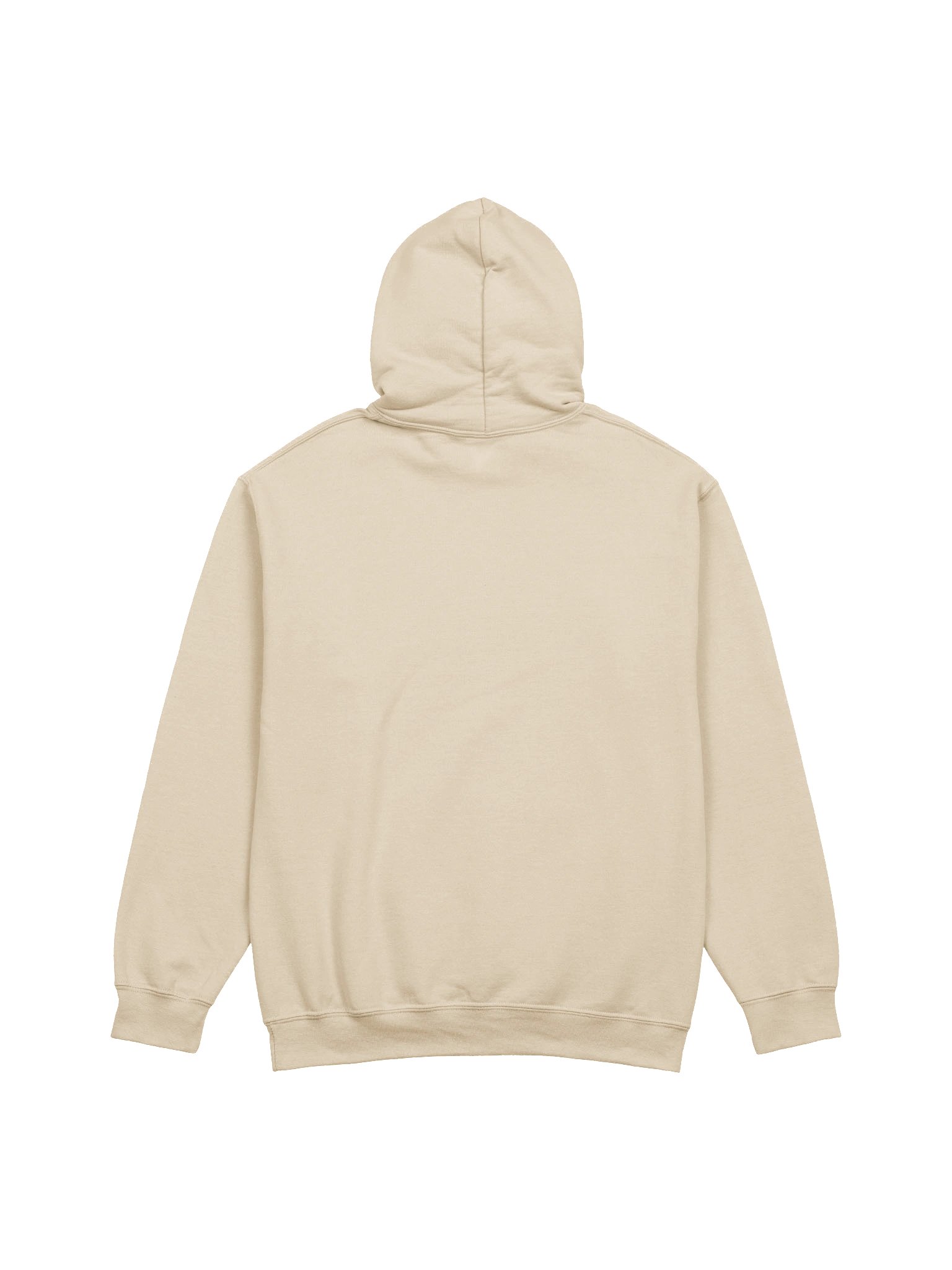 Absolute Cinema Raccoon Meme Graphic Hoodie product image (2)
