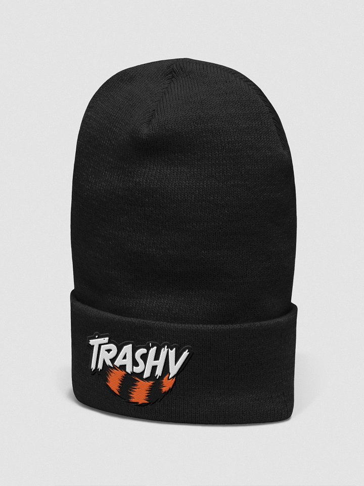 Embroidered Trashy Beanie product image (10)