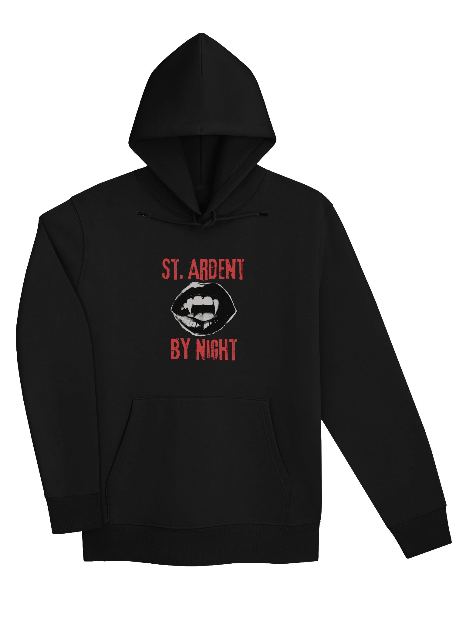 SABN Hoodie product image (3)