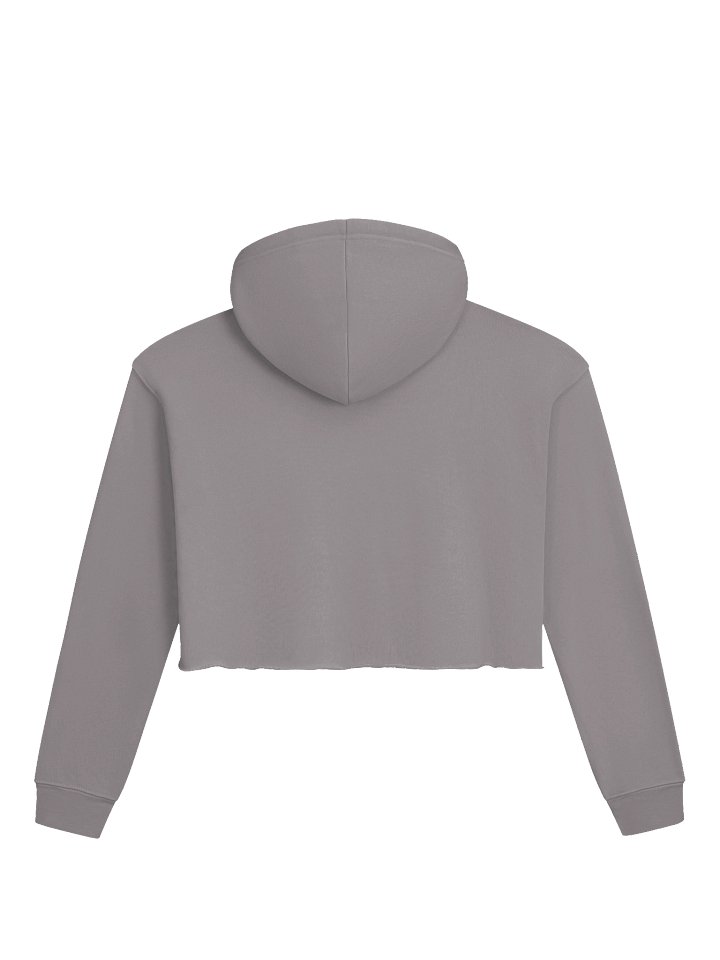 Cropped Hoodie - Zeyta Cross and Friends Logo product image (2)