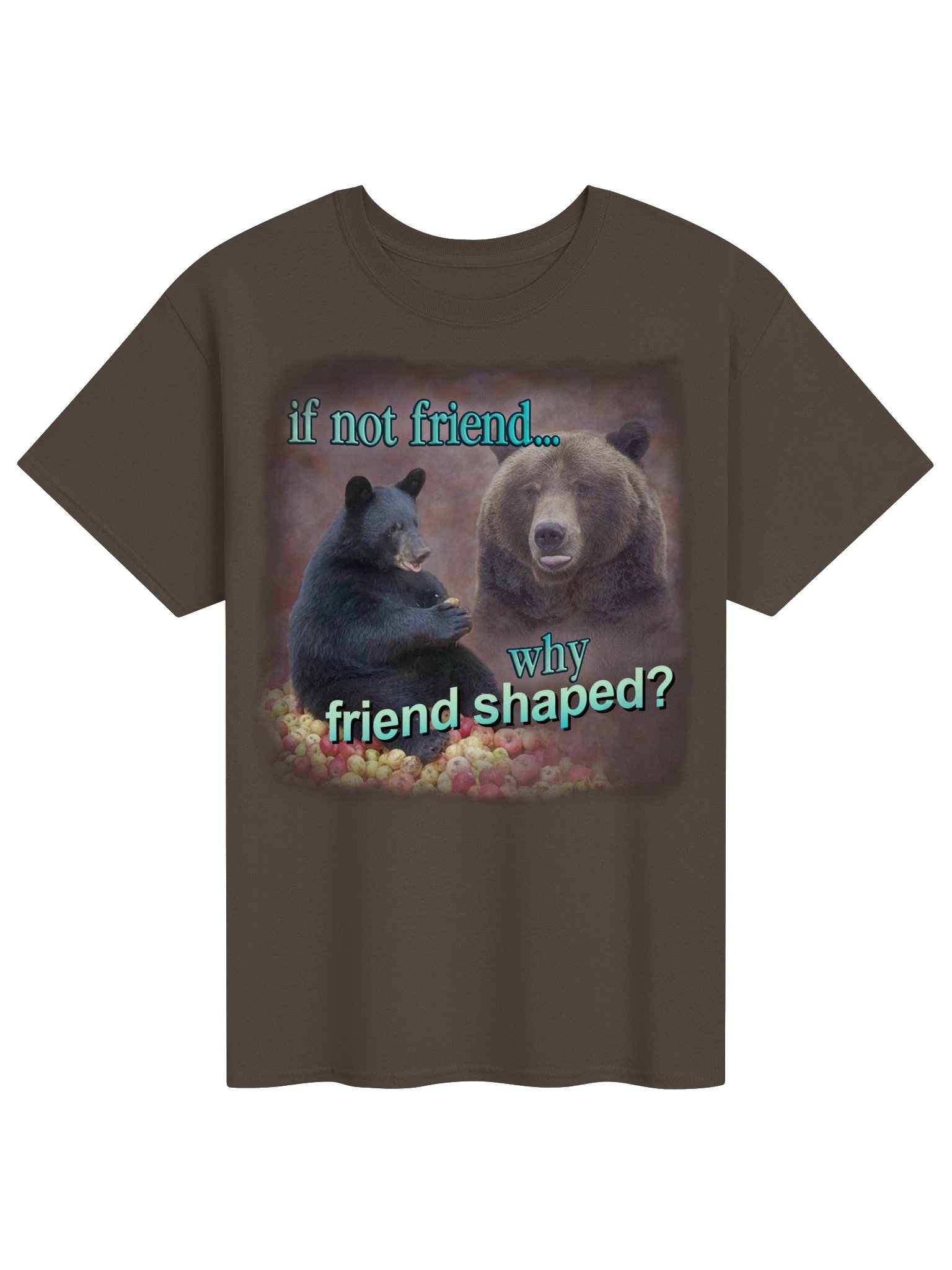If Not Friend, Why Friend Shaped Bear T-shirt product image (1)