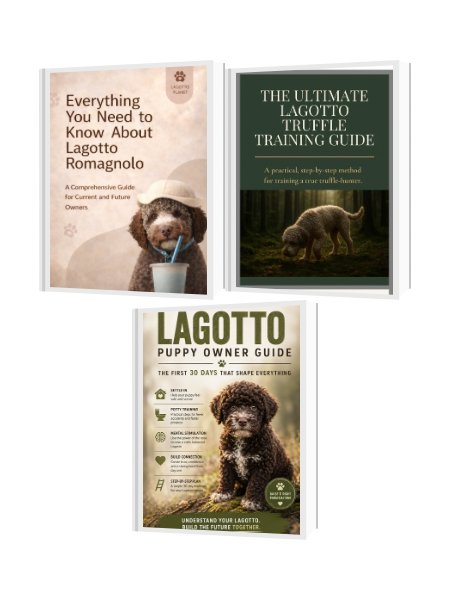 Lagotto Master Bundle product image (1)