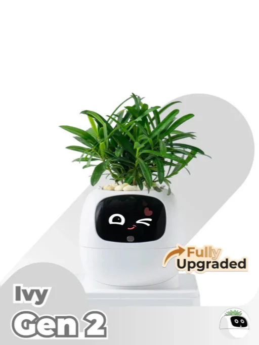 Stilzone Ivy Gen 2 product image (4)