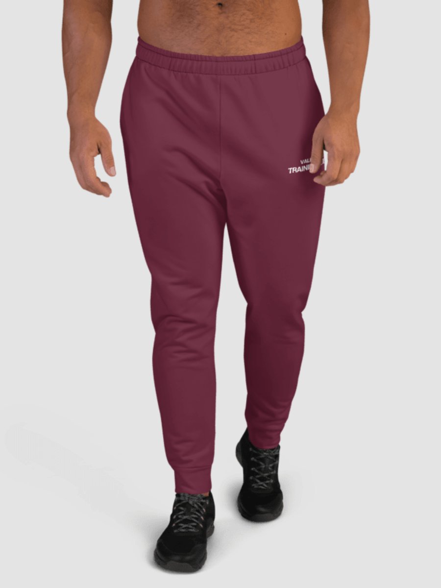 Training Club Joggers - Plum product image (1)
