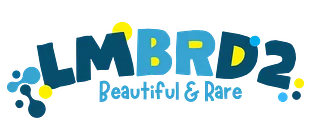 LMBRD2 STORE