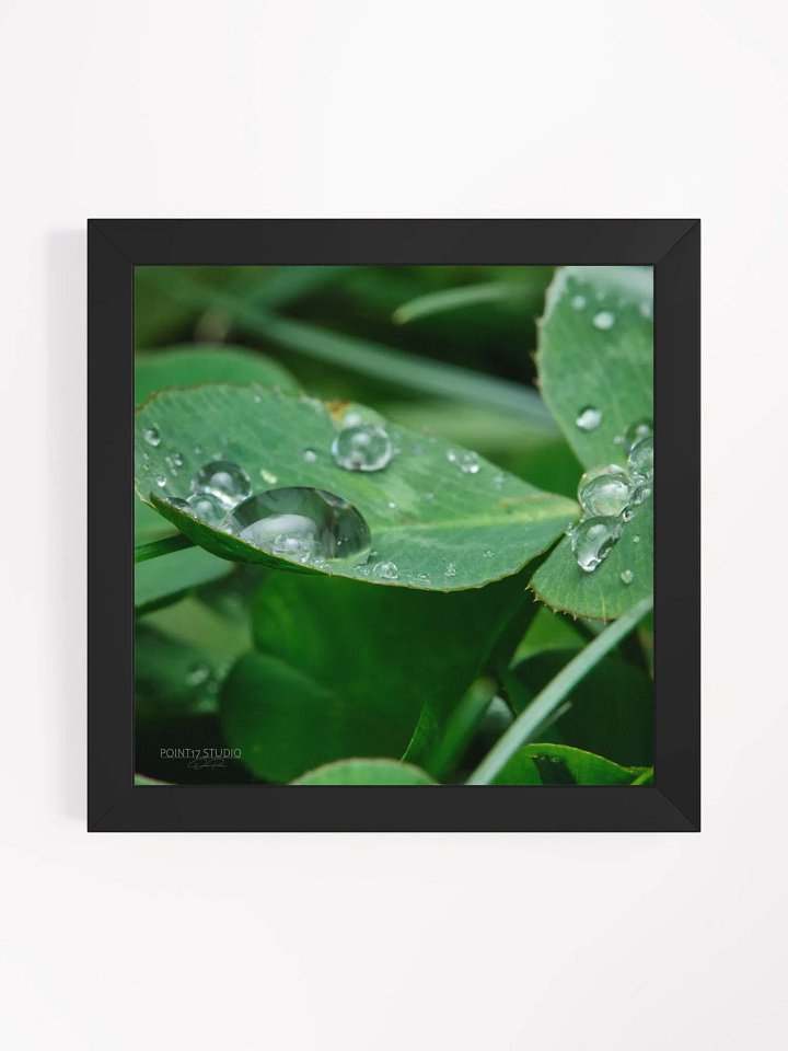 Dew Gems #8 - Framed Print product image (1)