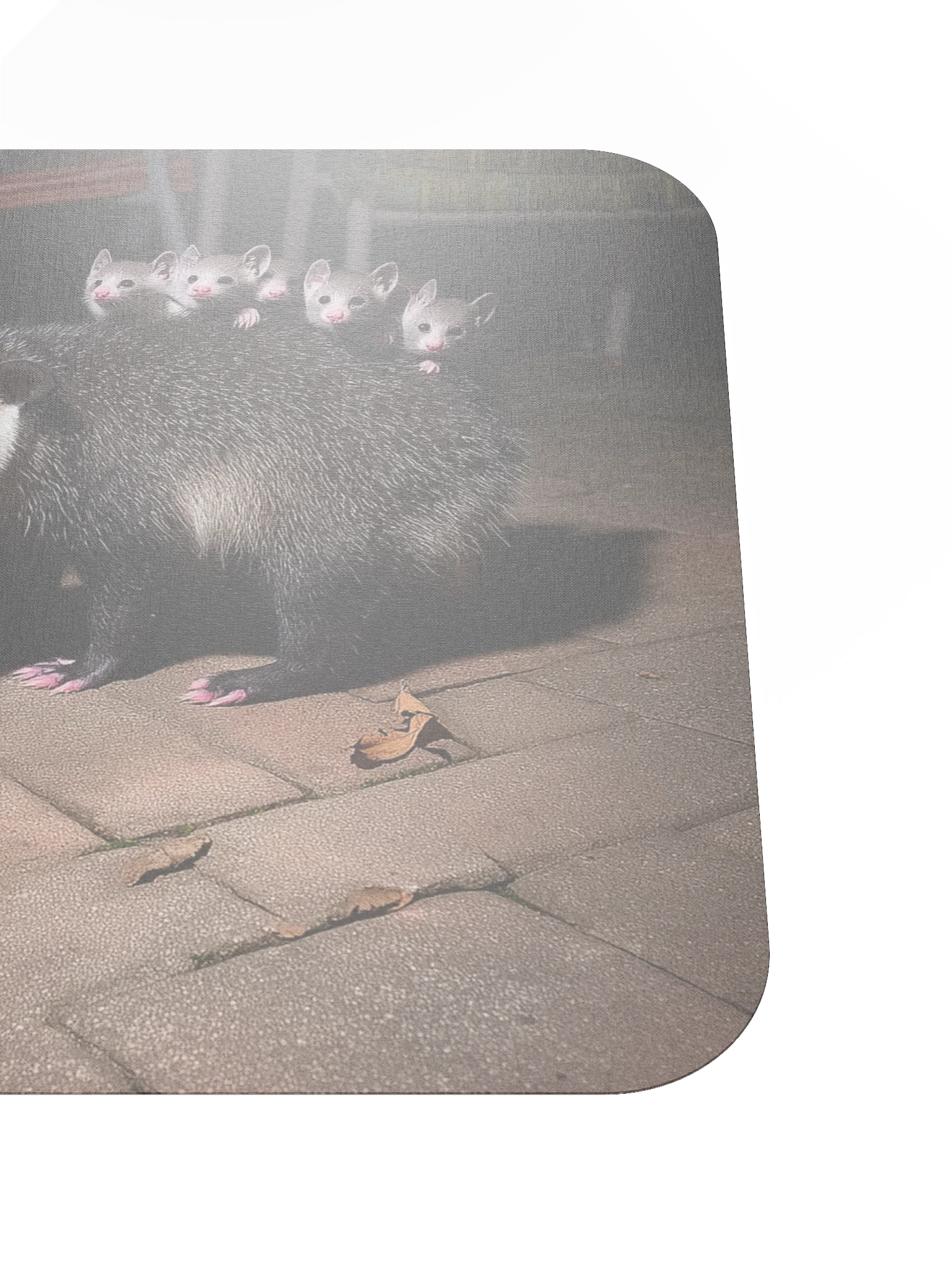 Cat meets opossum family Mouse Pad product image (5)
