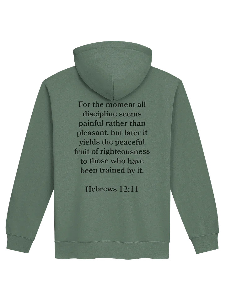 Call Discipline Seems Painful Hoodie product image (2)