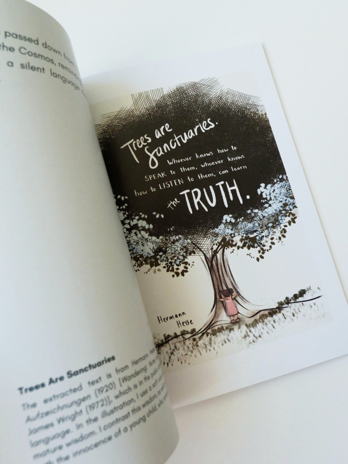 Who Owns This Text? (Bespoke Print Edition) product image (3)
