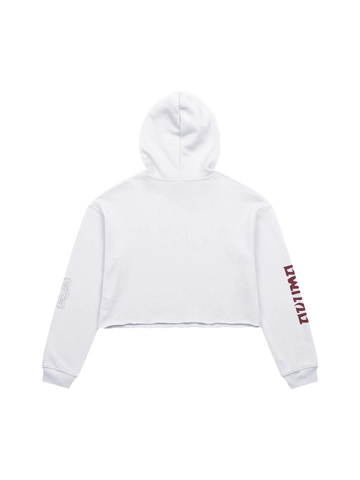 Cyber Oni Crop Hoodie product image (2)