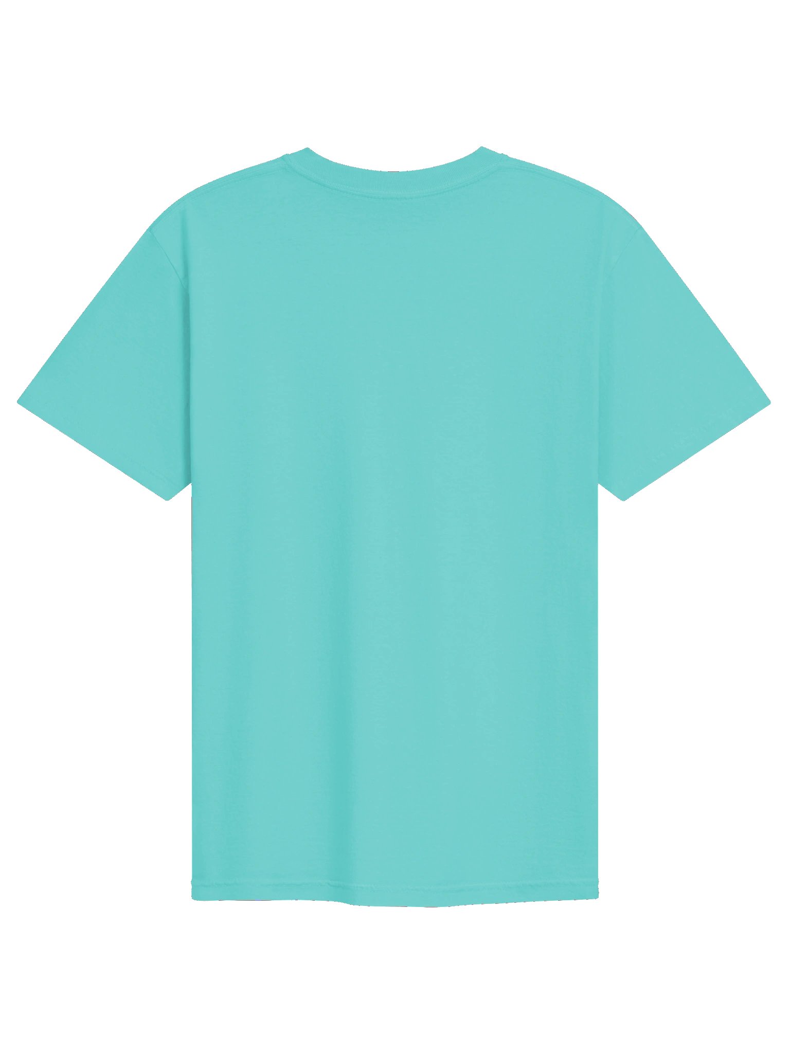 Peter Gilroy PAN - Lagoon Blue T product image (2)