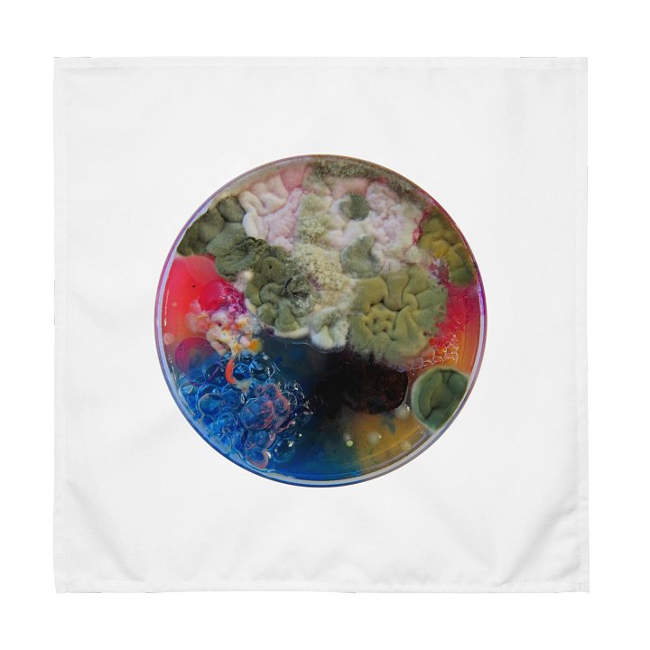 Group of 4 product image (2)