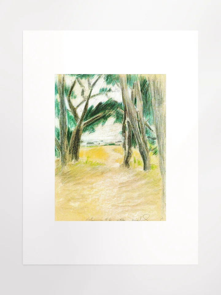 Mackerricher State Park, CA 09.02.86 print product image (2)