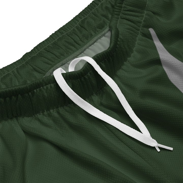 cadre shorts product image (2)