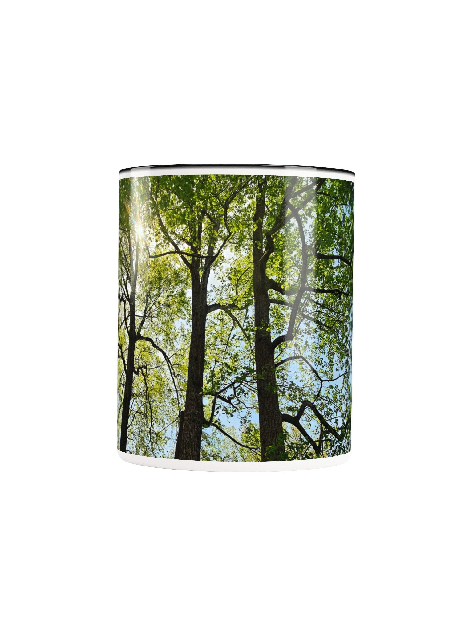 Among the Trees 2-tone Ceramic Mug product image (44)