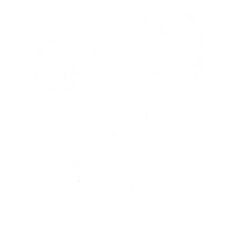 BrutalWear