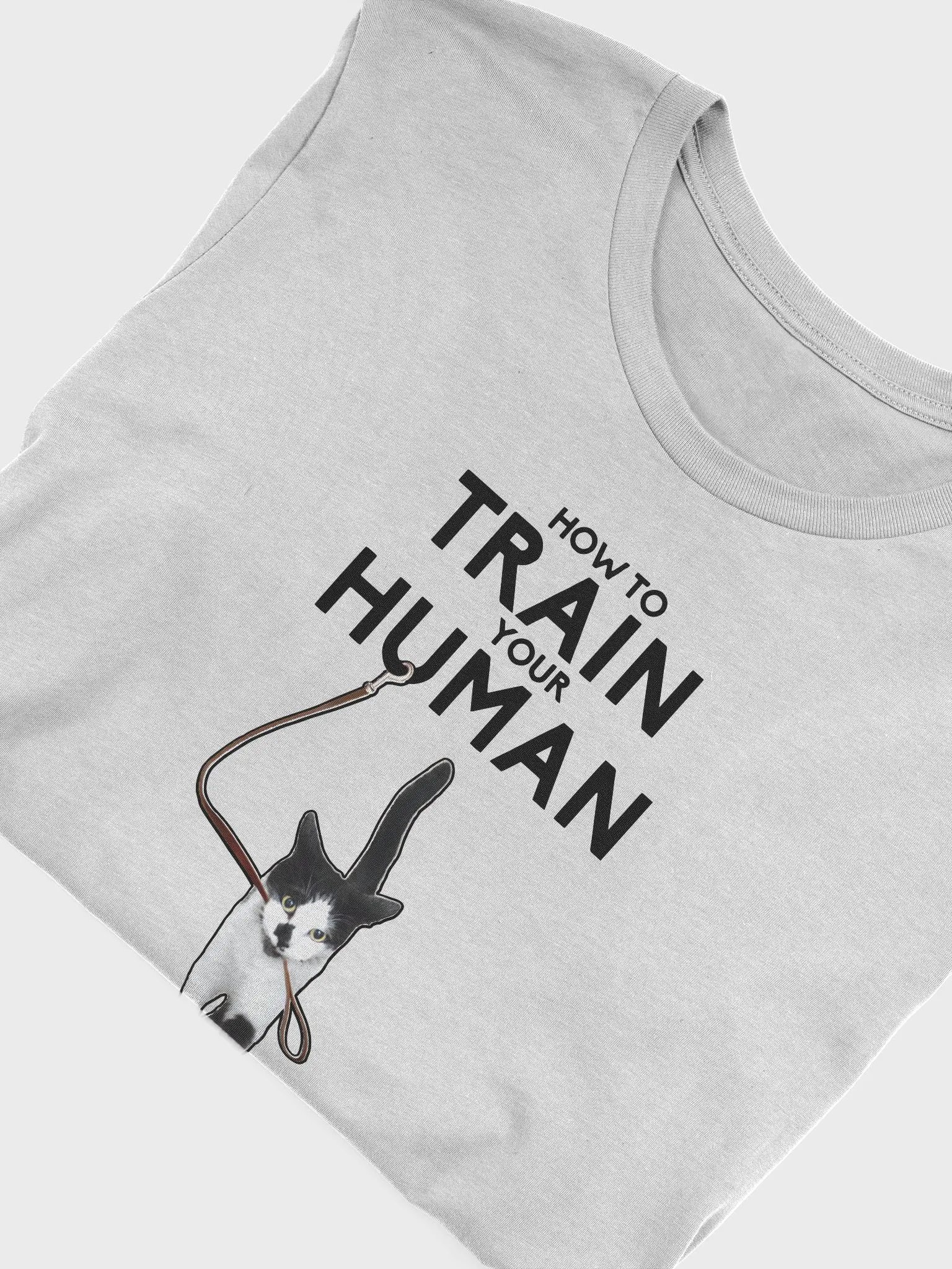 How to Train Your Human product image (32)