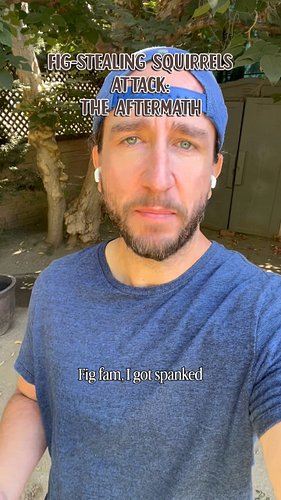 I’ve been in isolation since the Fig-Stealing Squirrels 🌿🐿️launched their attack against me last week. After many hours of co...