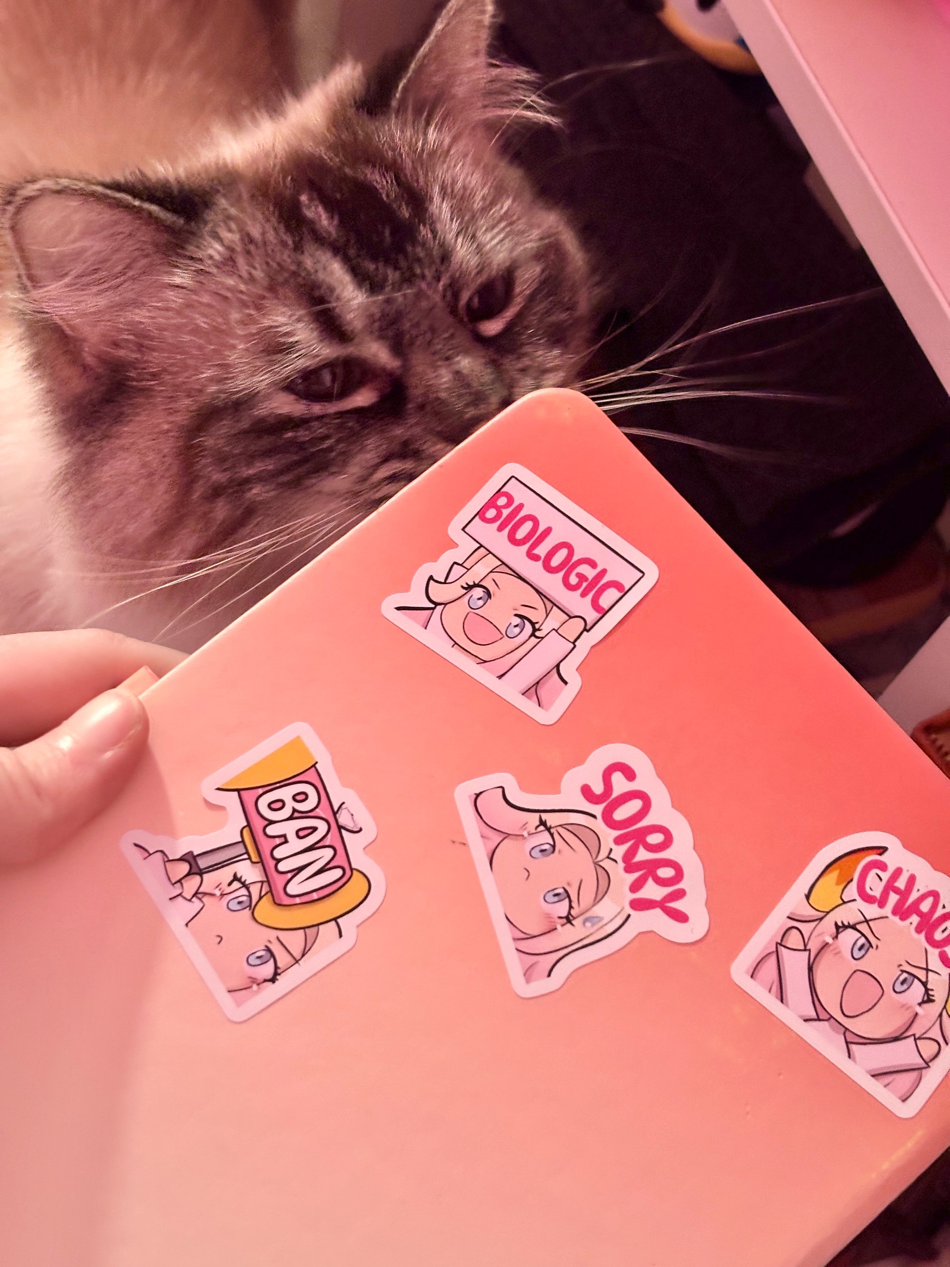 Tara Emotes - Stickers product image (6)
