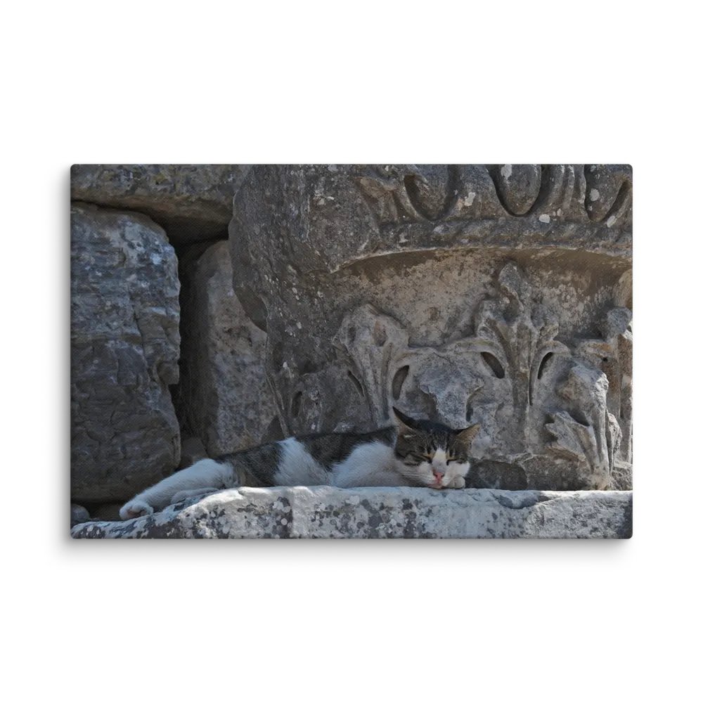 Sleeping Cat (Canvas) product image (2)