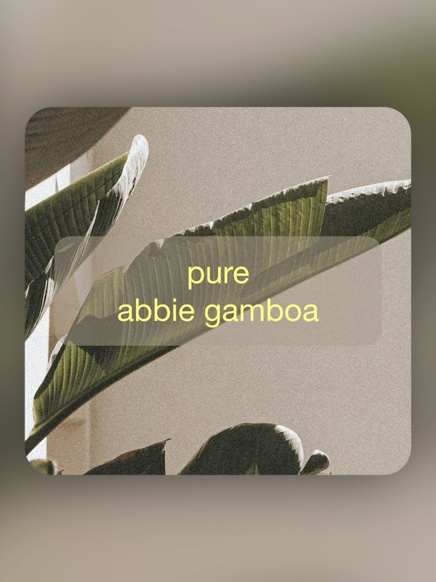 Pure - Abbie Gamboa product image (1)