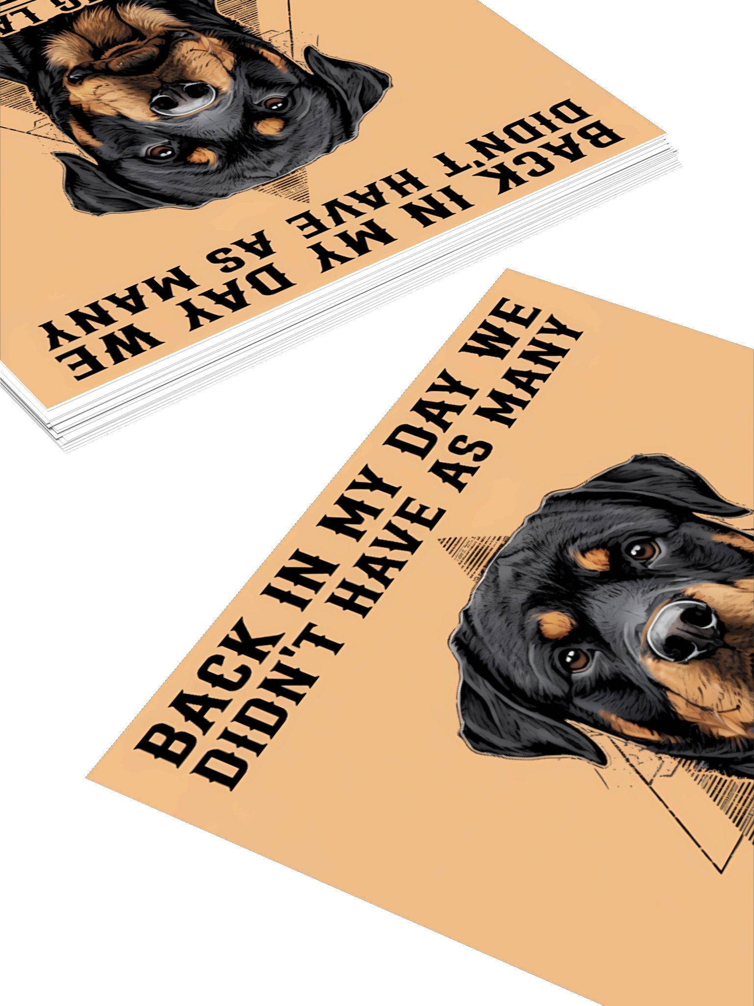Rottweiler Warning Sticker product image (11)