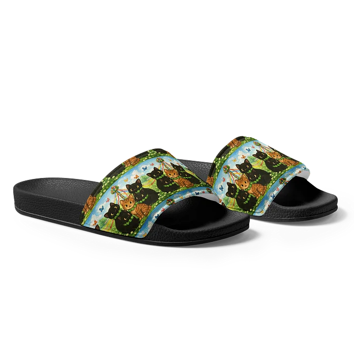 cat brigade spring Pattern Men's Slides product image (1)