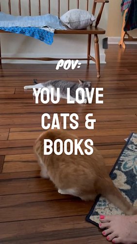 POV: you wanna join in on the coziest book & cat themed podcast

#bookstagram #cat #podcast #bookishcommunity #bookish