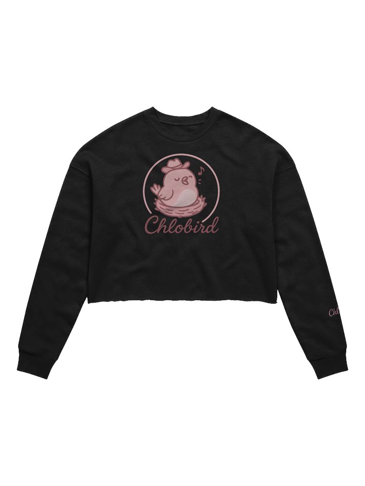 Chic Cursive Crop Sweatshirt - Chlobird Collection product image (1)