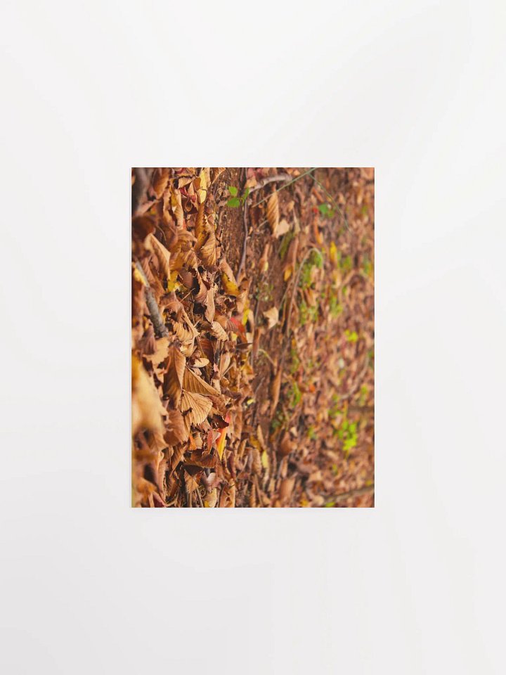 A Bed for Zagreus Dionysus product image (3)