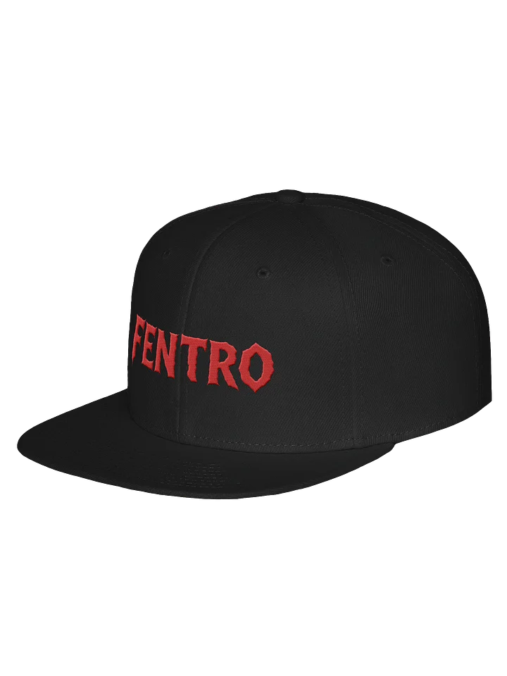FENTRO SNAPBACK product image (3)