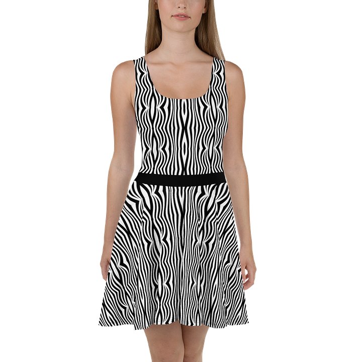Groovy Lines Zebra Print Dress product image (1)