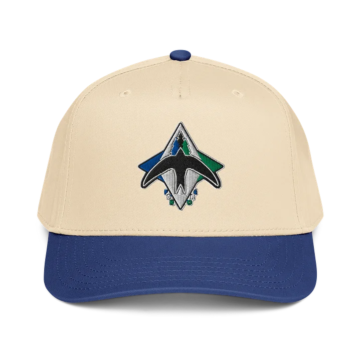 Portland Swifts Baseball Cap (Snapback) product image (1)
