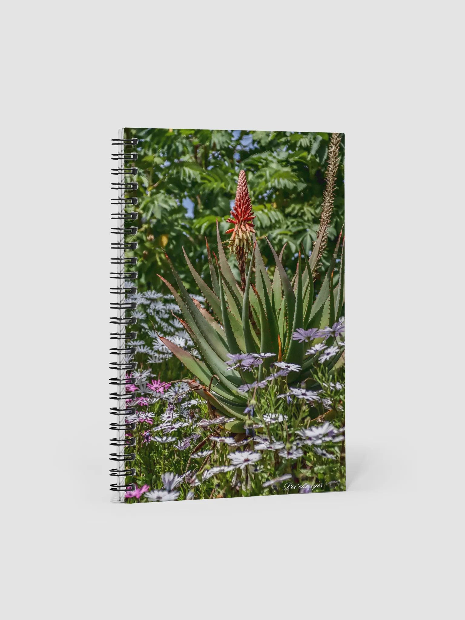 📓 Notebook Collection PURE – Jardin du Rayol – Aloe & Marguerites du Cap product image (1)