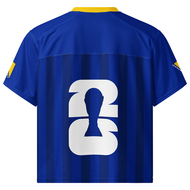 Bosnia and Herzegovina Boxy Sports Tee product image (2)