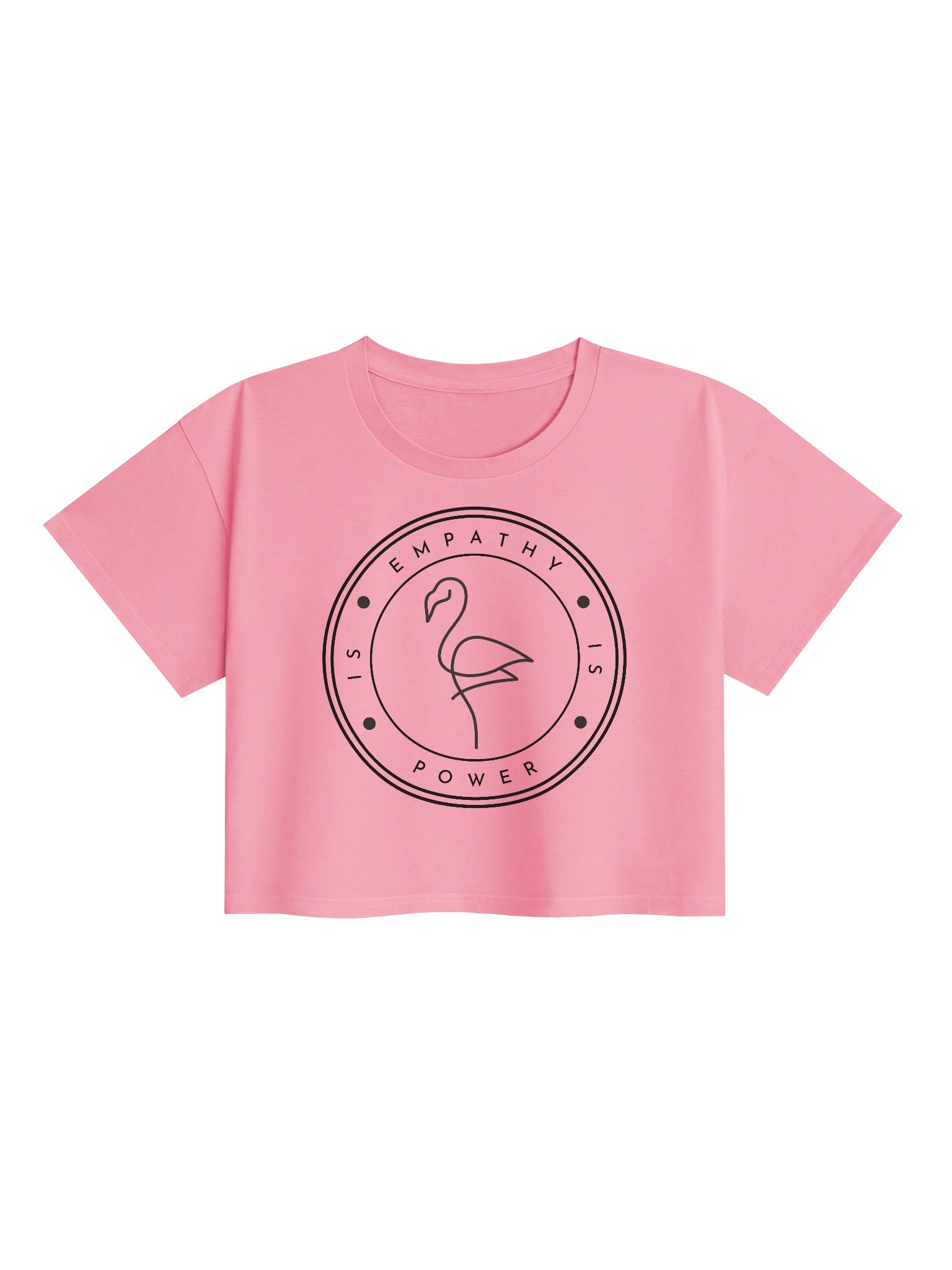 Empathy is Power Crop Top (Lighter Colours) product image (1)