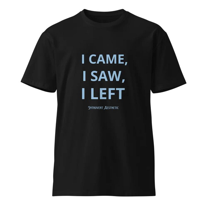 Introvert Aesthetic Unisex Tee product image (1)