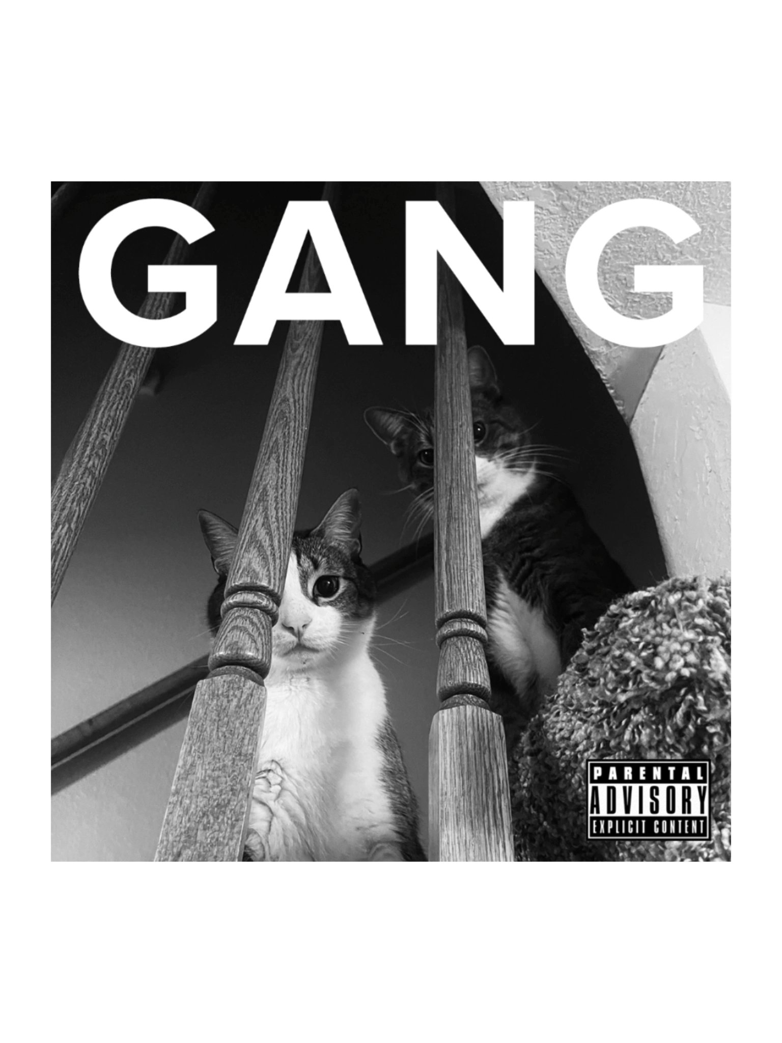 we should start a band product image (1)