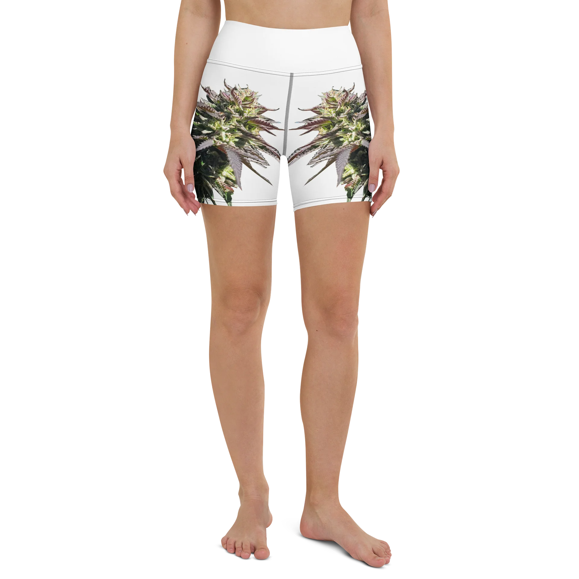 Herbaceus Sacer product image (2)