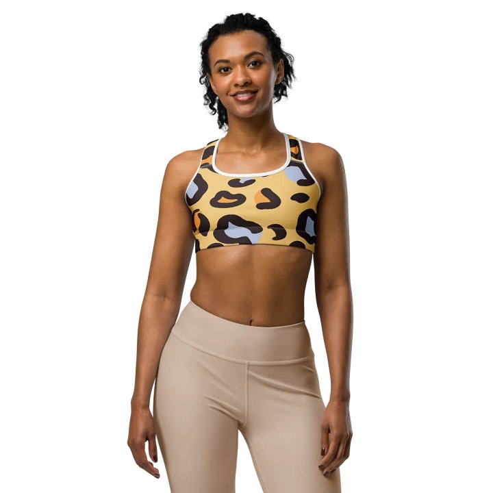 Tizzy Sports Bra product image (1)