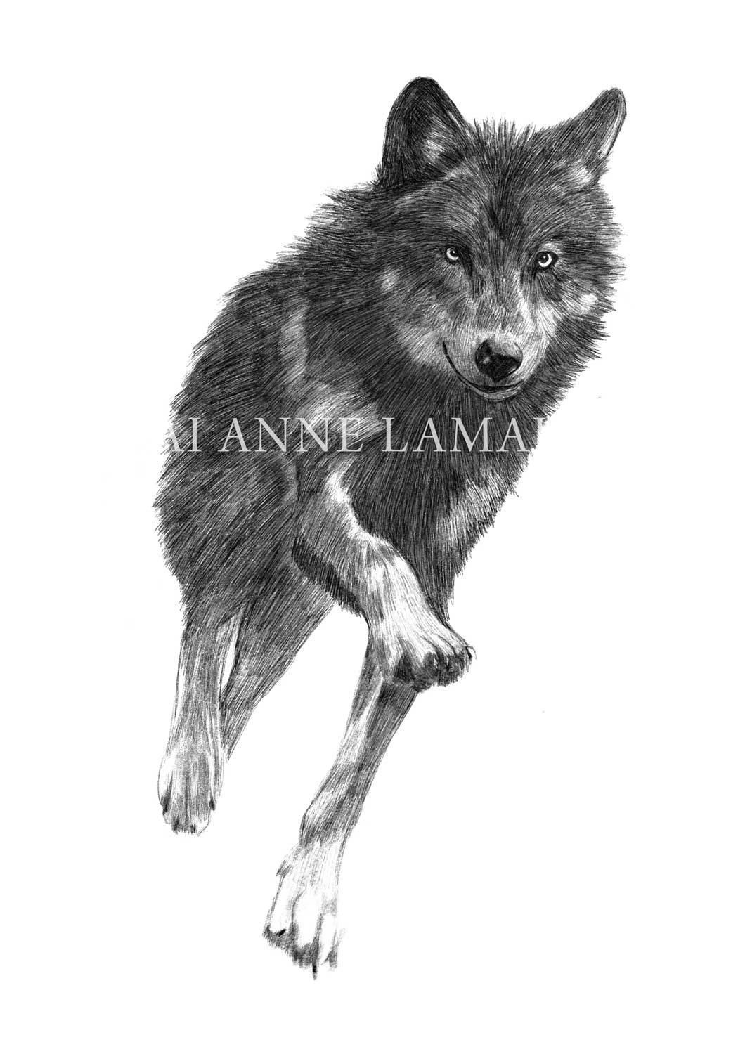 Wolf Running | The Heart of Shadow Art Print product image (1)