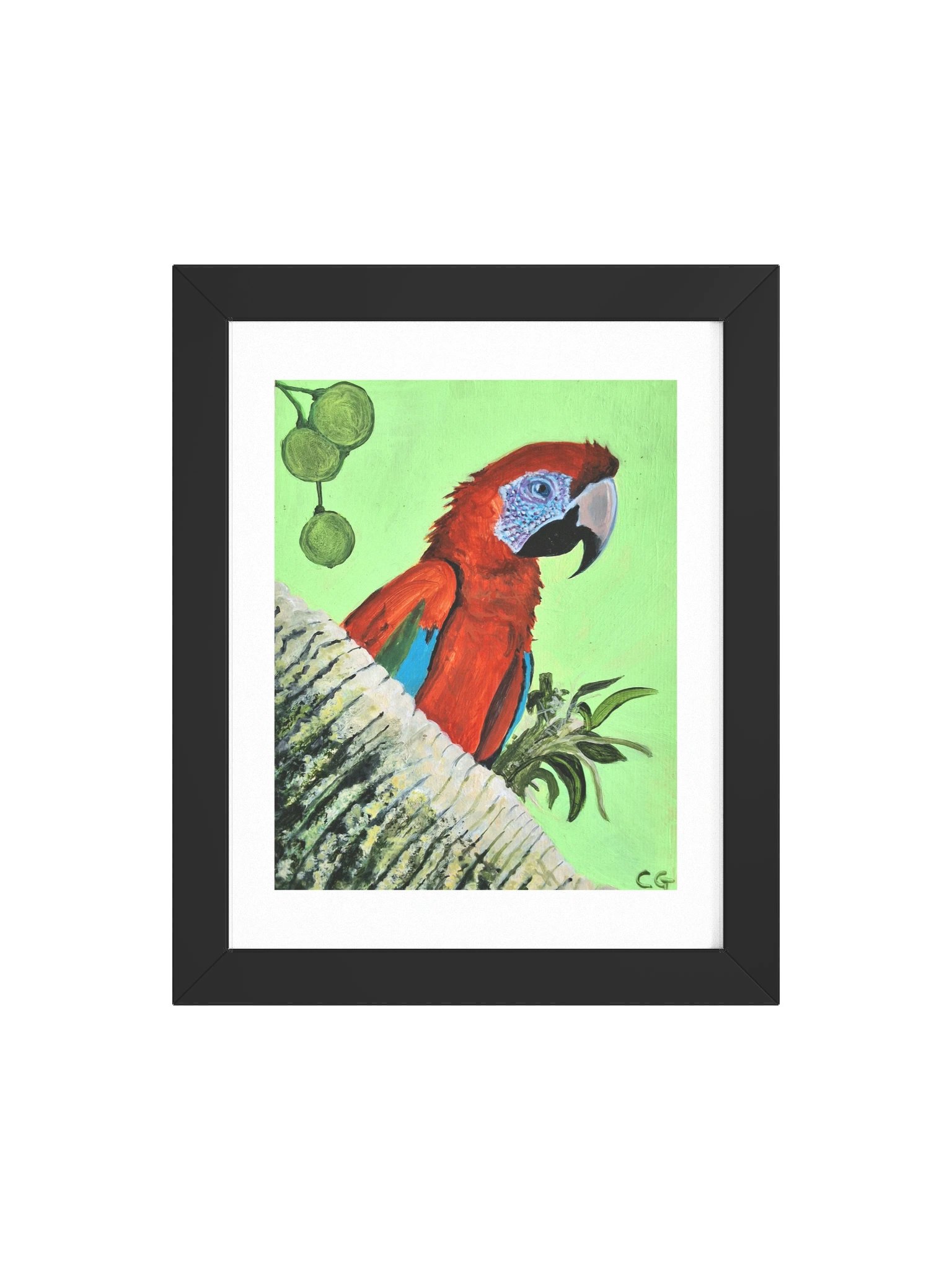 Messenger of the Jungle — Framed Print product image (4)