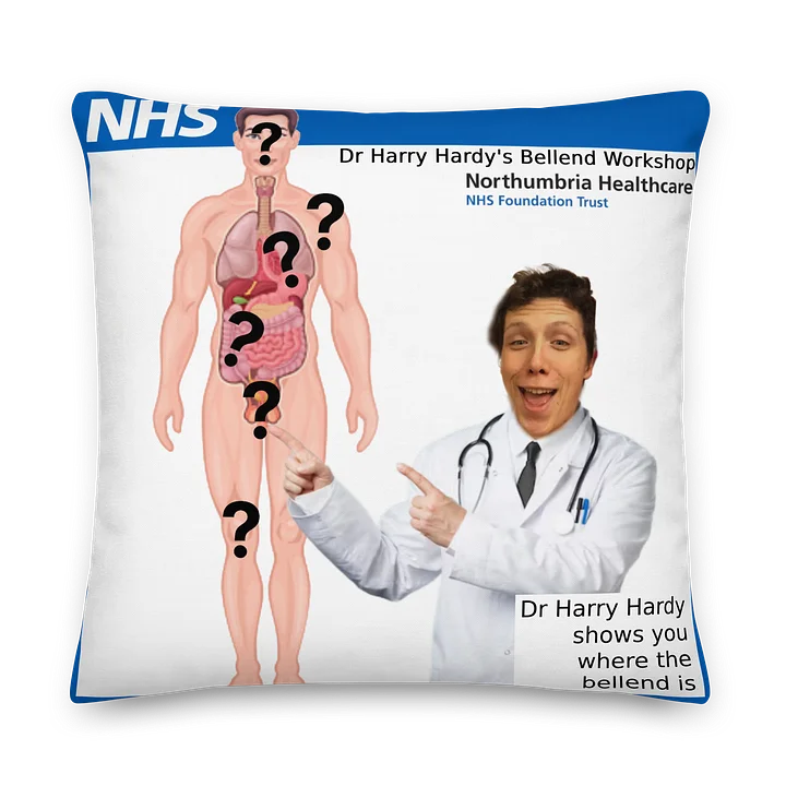 Harry Hardy Bellend Party Cushion product image (1)