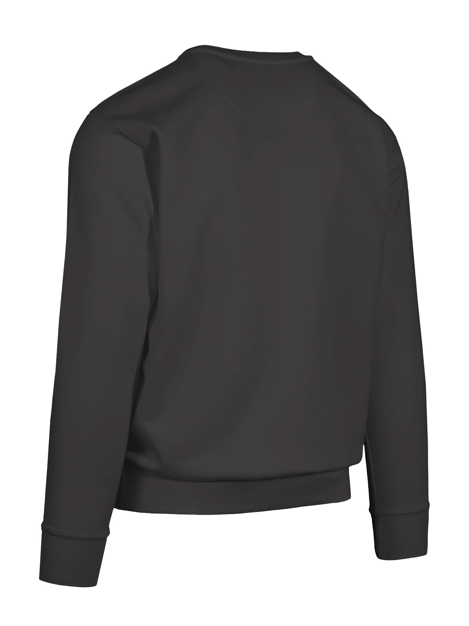Control the Line (borders) premium sweatshirt product image (12)