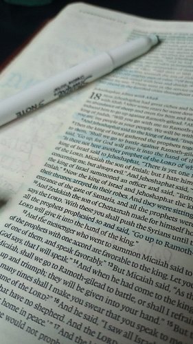 Lets write!

If you’re new here, hello! I’m Esther (E. R. Ware) a young Christian author, equestrian, entrepreneur, and hater...