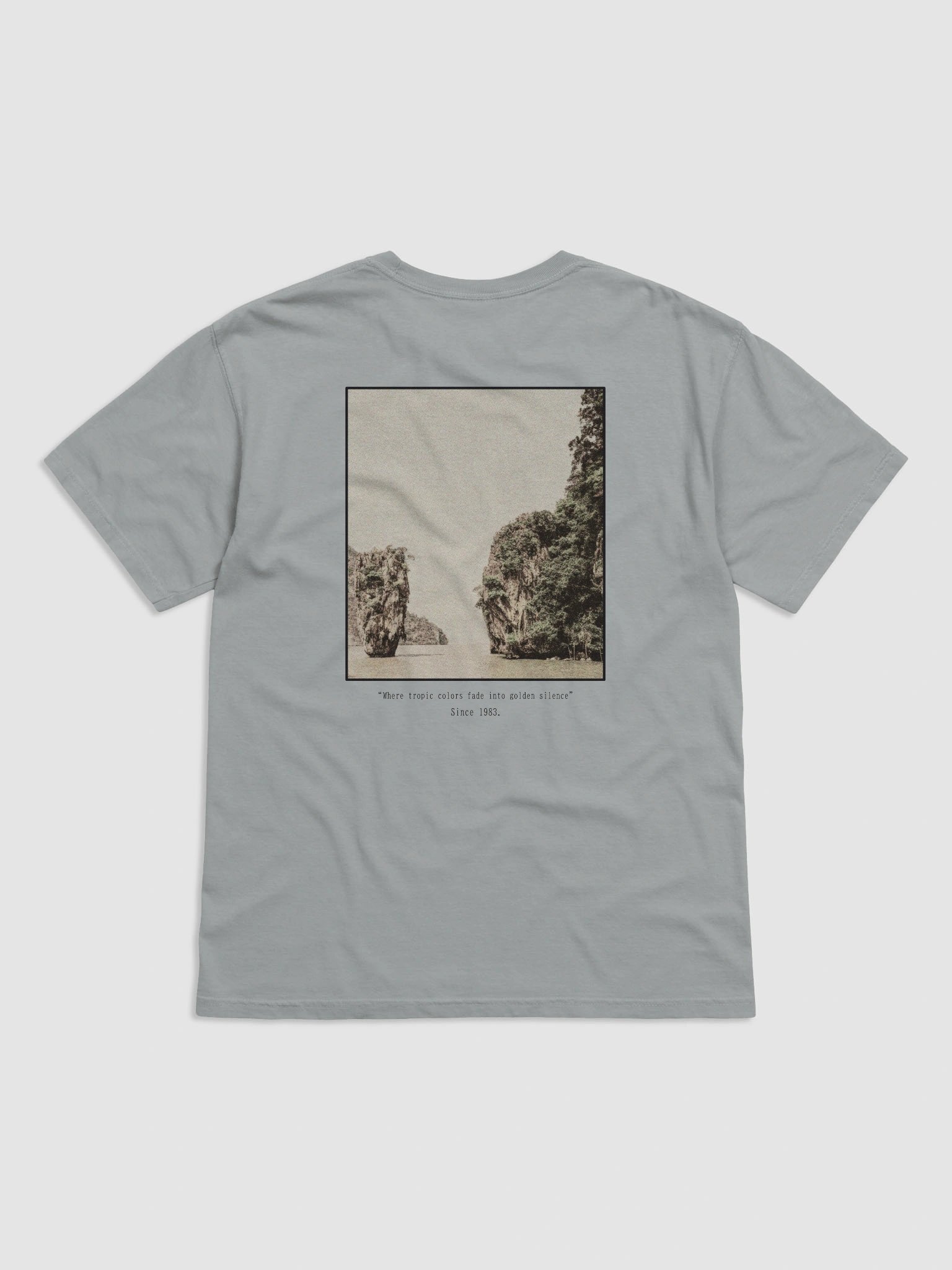 Tropic fade Garment-Dyed Heavy tee product image (2)