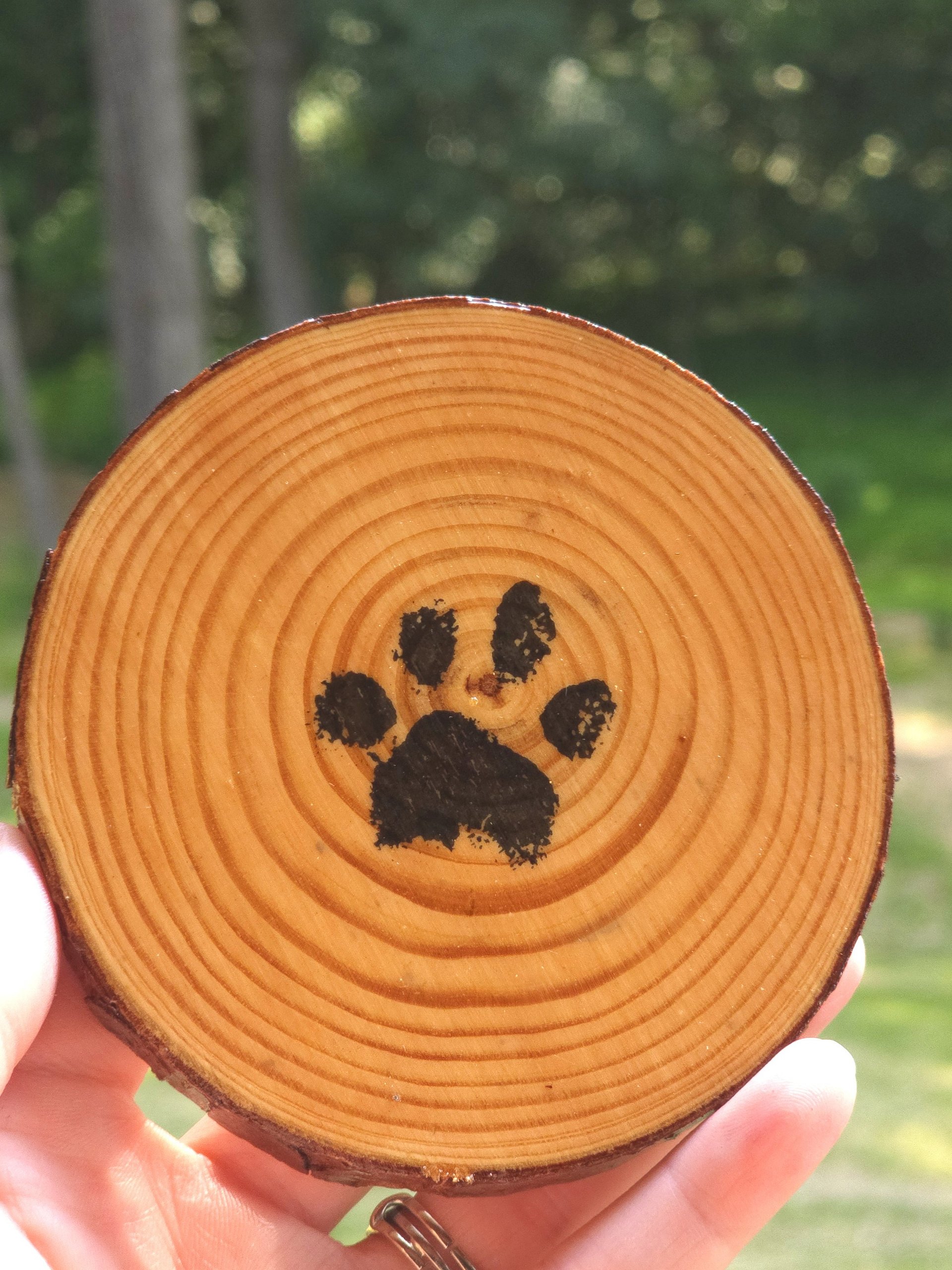 Non-Slip Coasters - Rustic Wood Slab product image (3)