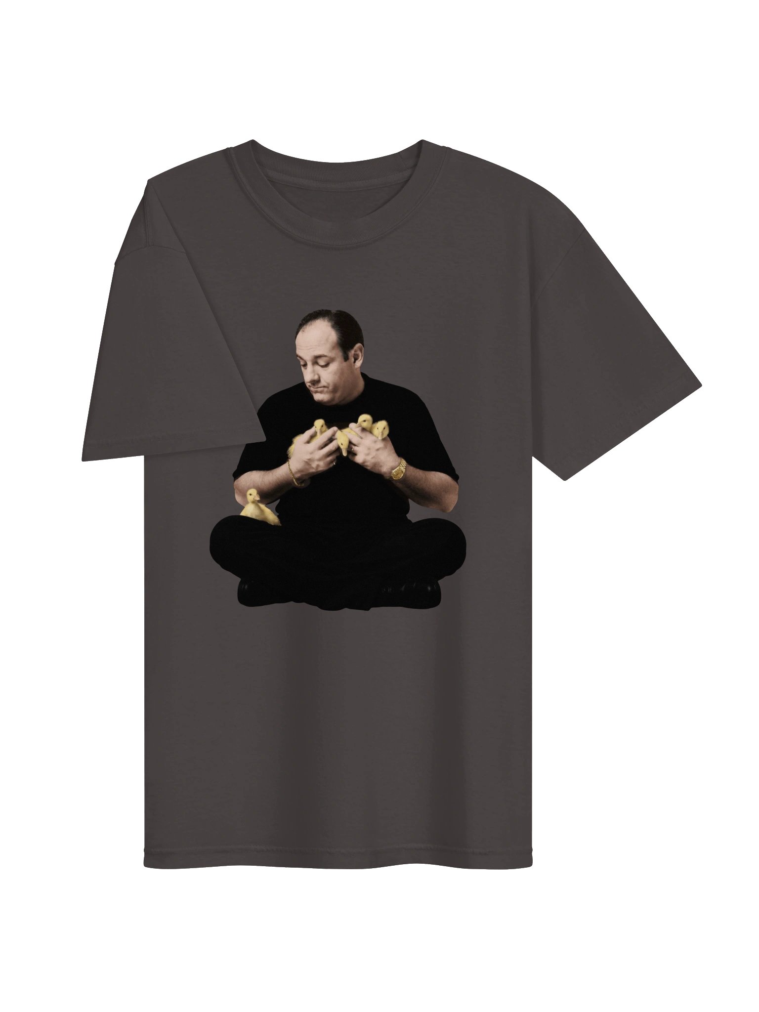 Tony & the Ducks — Heavyweight T-Shirt product image (30)