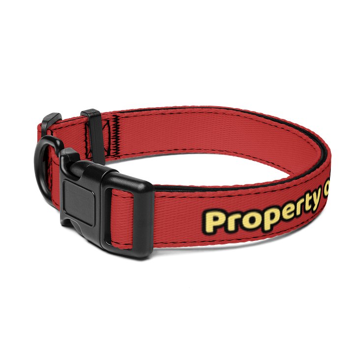 Pet Collar product image (1)
